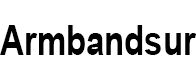 Armbandsur_logo