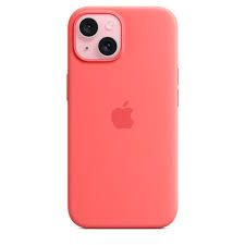 Case