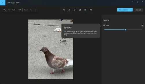 Credit:Microsoft