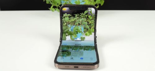 Foldable iPhone.jpg