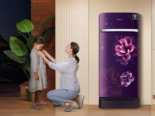 Samsung 189L Digital Inverter Direct Cool Refrigerator (‎RR21C2H25CR/HL)