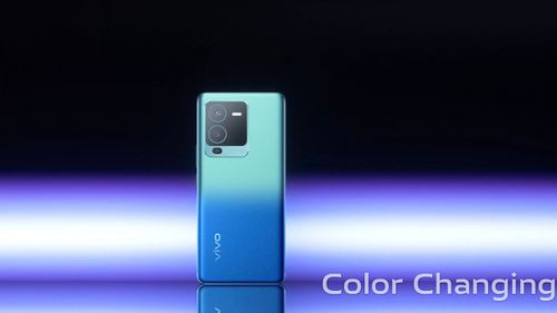 Vivo V25 Pro Back.jpg