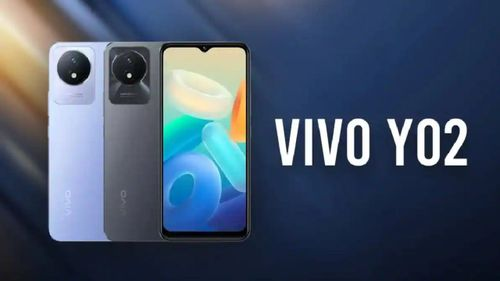 Vivo-Y02