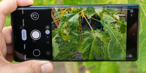 google pixel 6 pro.jpg