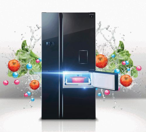haier vegetables.jpg