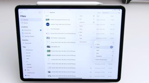 ipaddisplay.jpg