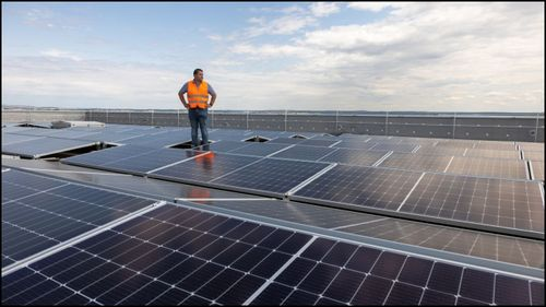 src="https://comparos.s3.ap-south-1.amazonaws.com/Apple_two6_f244eba9d0.jpg"