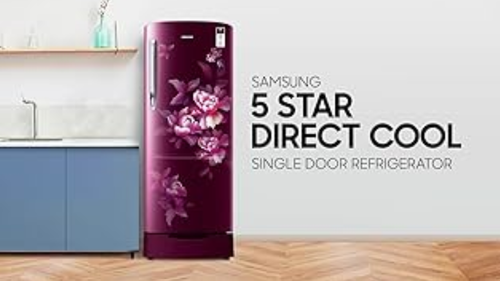 Samsung RT28C3733S8 (1).png