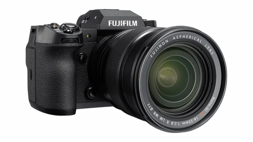 wildlife camera  (3).png