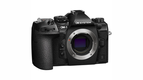 wildlife camera  (4).png