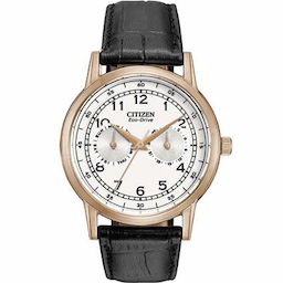 Citizen AO9003-16A Watch - For Men