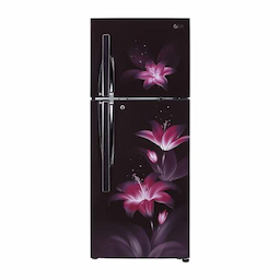 LG GL-T302RPGU 284 Ltr Double Door Refrigerator