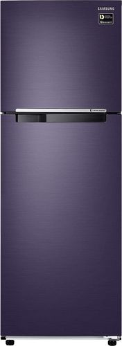 Samsung RT30T3082UT 272 Ltr Double Door Refrigerator