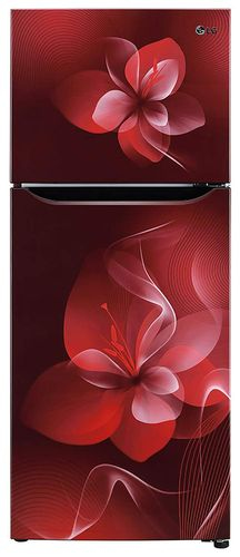 LG GL-N292DSDY 260 Ltr Double Door Refrigerator