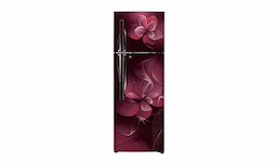 LG GL-T302RSDX 284 Ltr Double Door Refrigerator