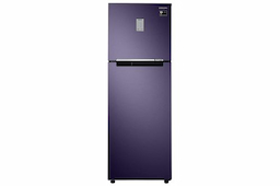 Samsung RT30R3423UT 275 Ltr Double Door Refrigerator