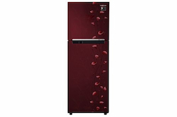 Samsung RT28M3022RZ 253 Ltr Double Door Refrigerator