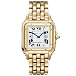 Cartier WGPN0041 Panthere De 