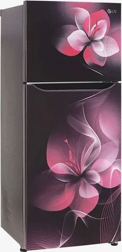 LG GL-N292DPDY 260 Ltr Double Door Refrigerator