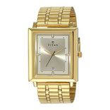 Titan 1715YM02 Analog Watch - For Men