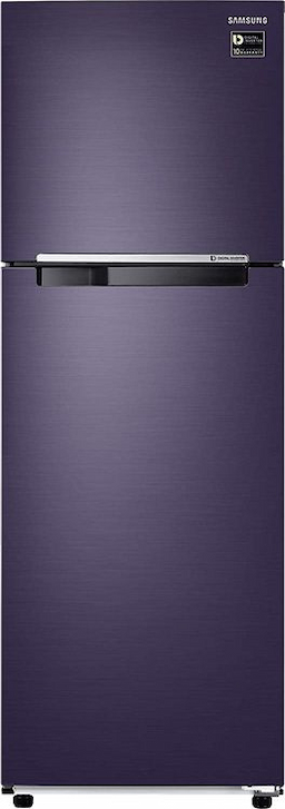 Samsung RT30T3082UT 272 Ltr Double Door Refrigerator