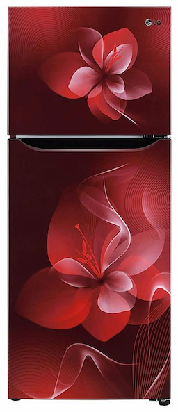 LG GL-N292DSDY 260 Ltr Double Door Refrigerator
