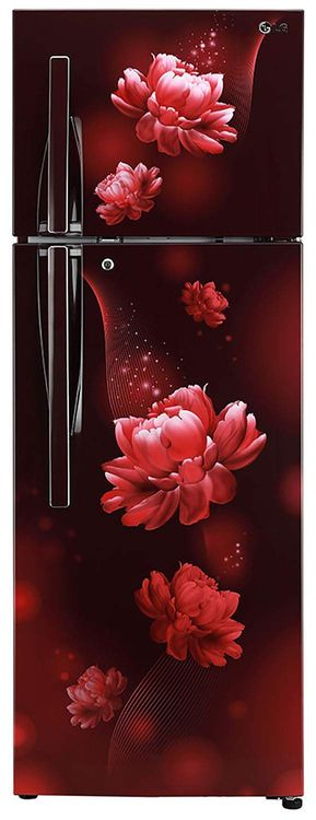 LG GL-T302RSCY 284 Ltr Double Door Refrigerator