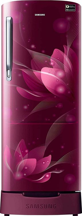 Samsung RR22T382XR8 215 Ltr Single Door Refrigerator