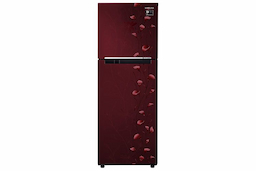 Samsung RT28M3022RZ 253 Ltr Double Door Refrigerator
