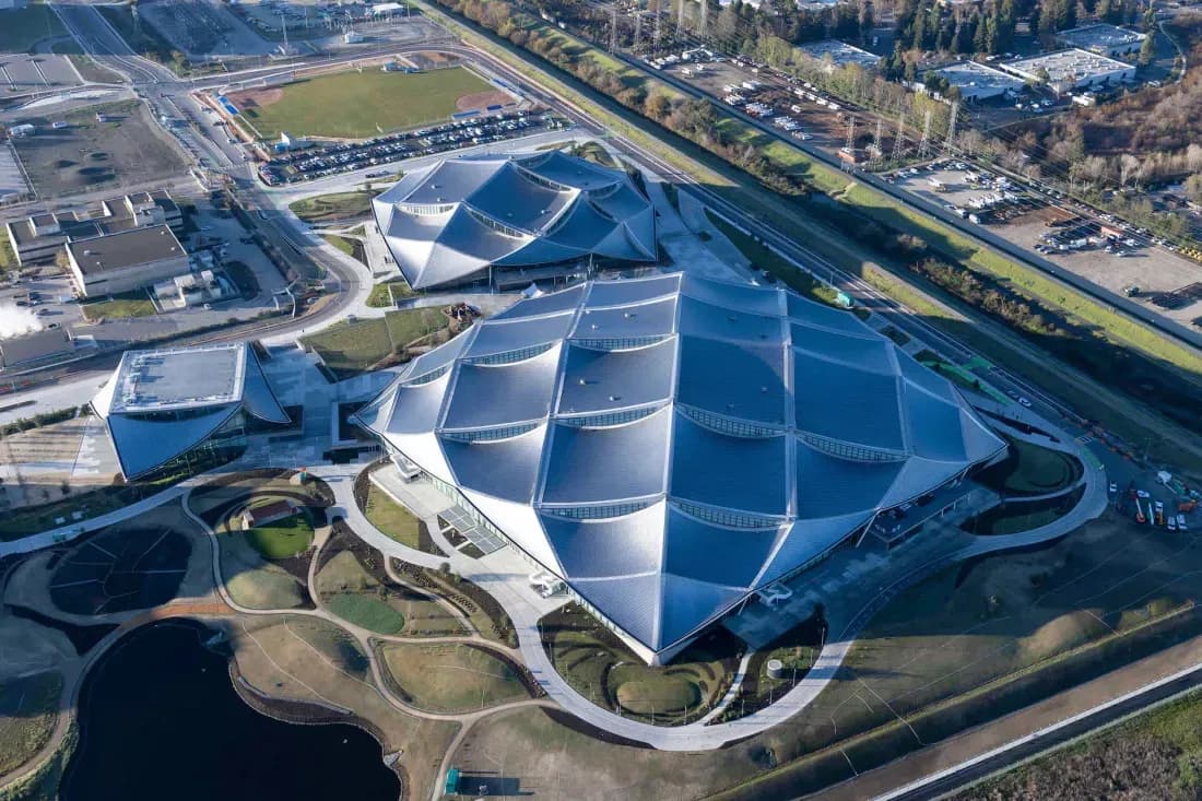 Google's Sophisticated New Office Faces Challenges with Poor Wi-Fi