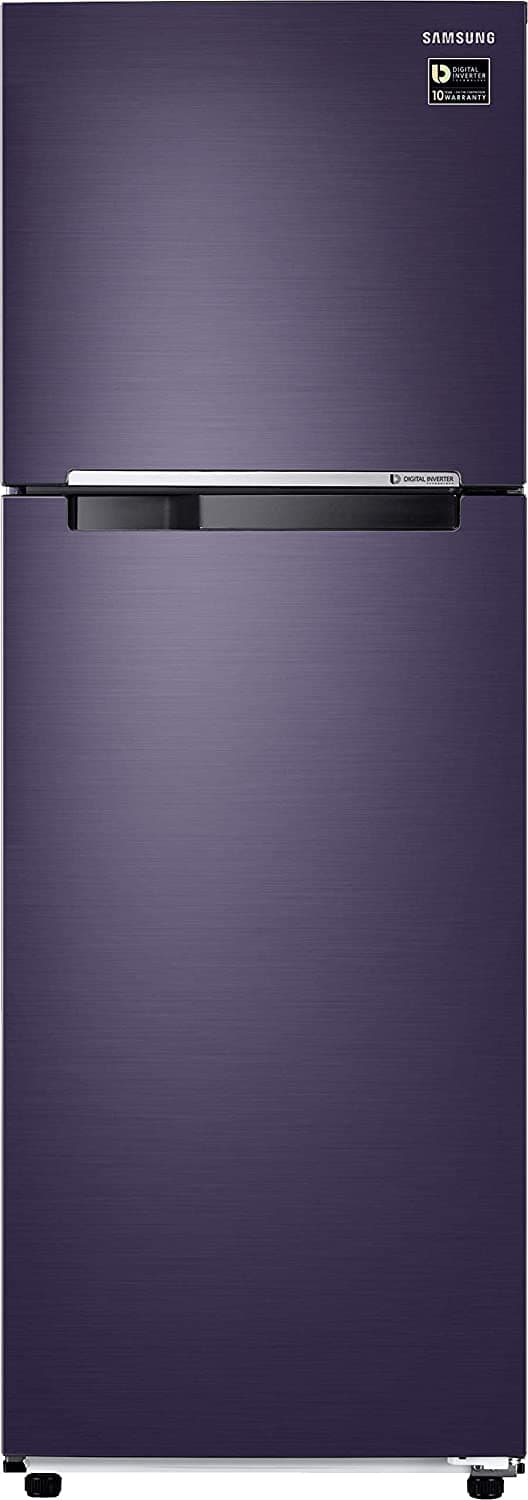 Samsung RT30T3082UT 272 Ltr Double Door Refrigerator