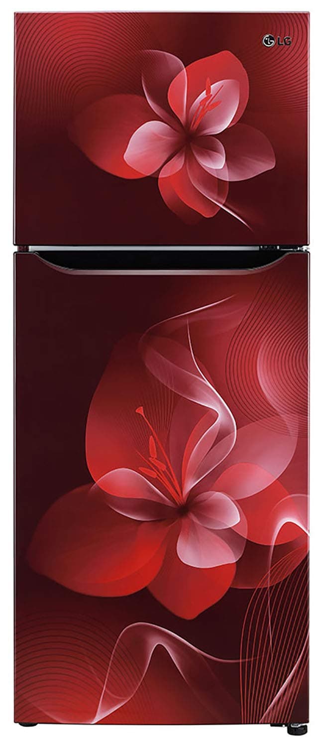 GL-N292DSDY 260 Ltr Double Door Refrigerator