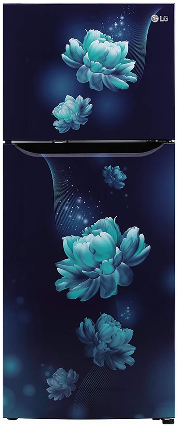 GL-T292SBC3 260 Ltr Double Door Refrigerator