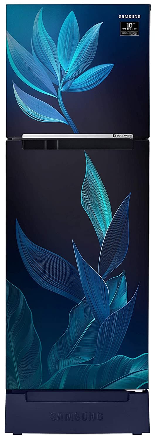 Samsung RT28T31429U 253 Ltr Double Door Refrigerator