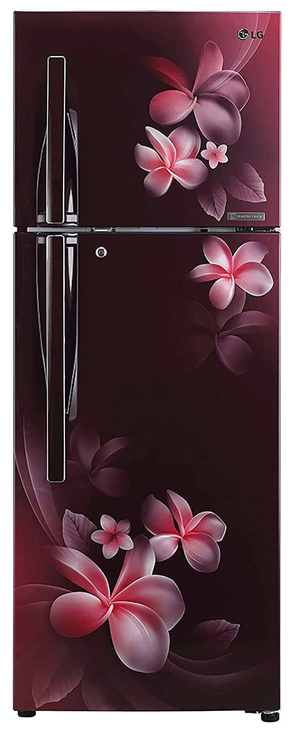 GL-T322RSPN 308 Ltr Double Door Refrigerator