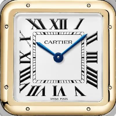 https://cmv360.s3.ap-southeast-1.amazonaws.com/Cartier_W2_PN_0012_Panthere_De_Cartier_b3f354fe0b.webp