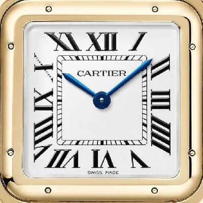 https://cmv360.s3.ap-southeast-1.amazonaws.com/Cartier_WGPN_0041_Panthere_De_Cartier_a06cce9fc9.webp