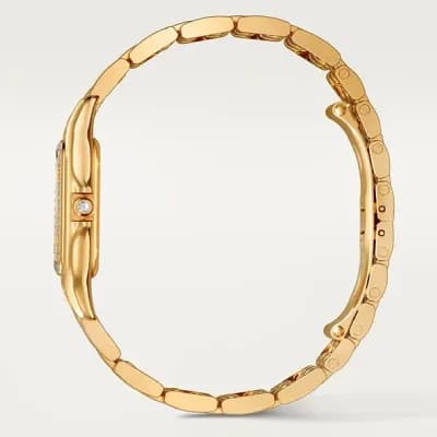 https://cmv360.s3.ap-southeast-1.amazonaws.com/Cartier_WJPN_0043_Panthere_De_Cartier_8745467d7e.webp