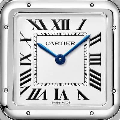 https://cmv360.s3.ap-southeast-1.amazonaws.com/Cartier_WSPN_0011_Panthere_De_Cartier_0739c90ccf.webp