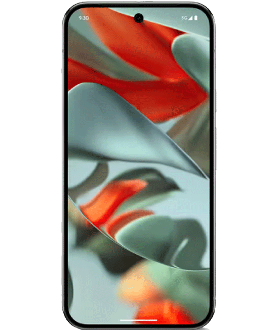 Pixel 9 Pro