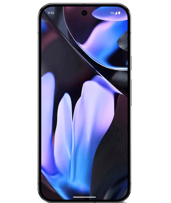 Pixel 9 Pro XL