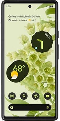 Pixel 6