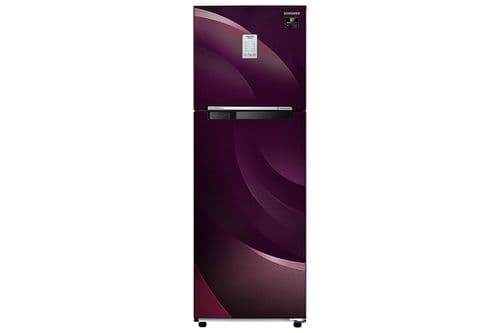 RT30T37534R 275 Ltr Double Door Refrigerator
