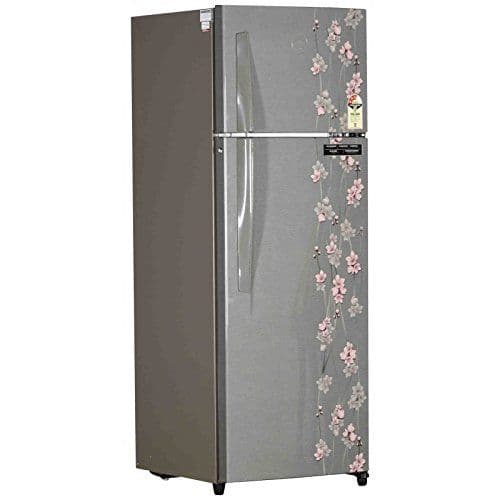 RT EON 290 PD 3.4 290 Ltr Double Door Refrigerator