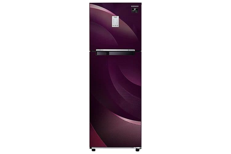 RT30T37534R 275 Ltr Double Door Refrigerator