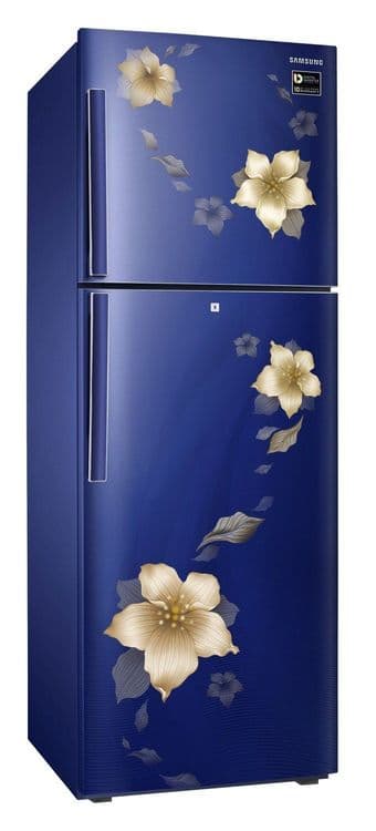 RT28N3342U2 253 Ltr Double Door Refrigerator
