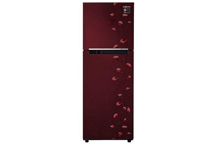 RT28M3022RZ 253 Ltr Double Door Refrigerator