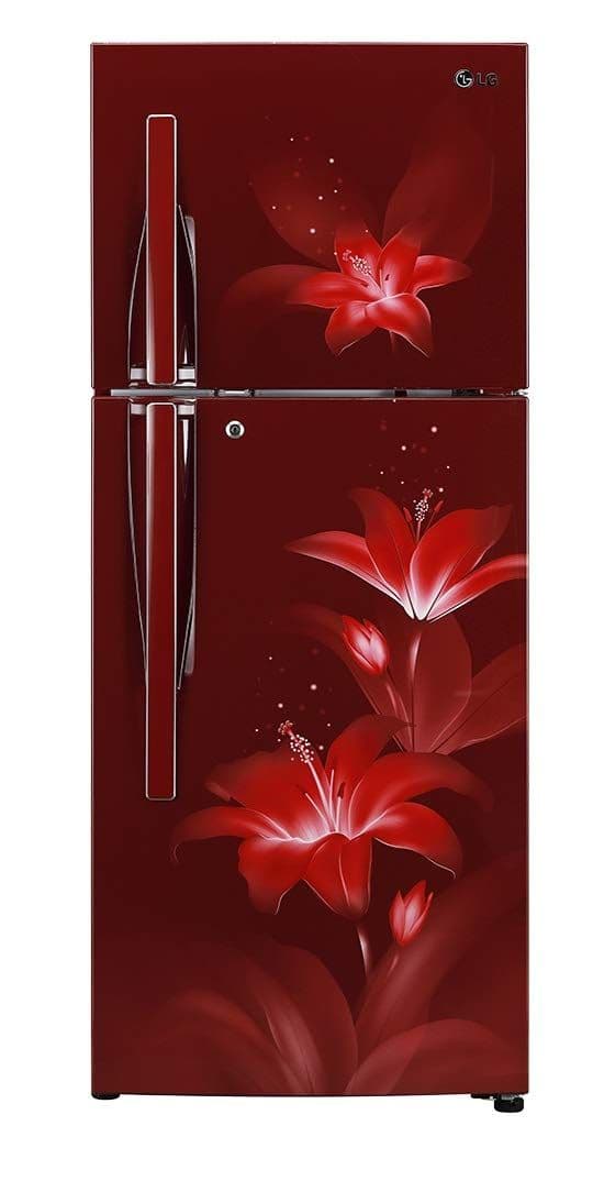 LG GL-T292RRGY 260 Ltr Double Door Refrigerator