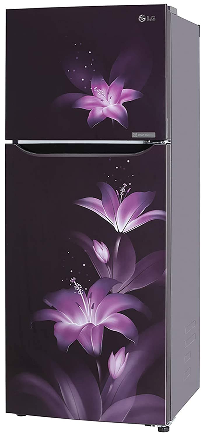 LG GL-T292SPG3 260 Ltr Double Door Refrigerator