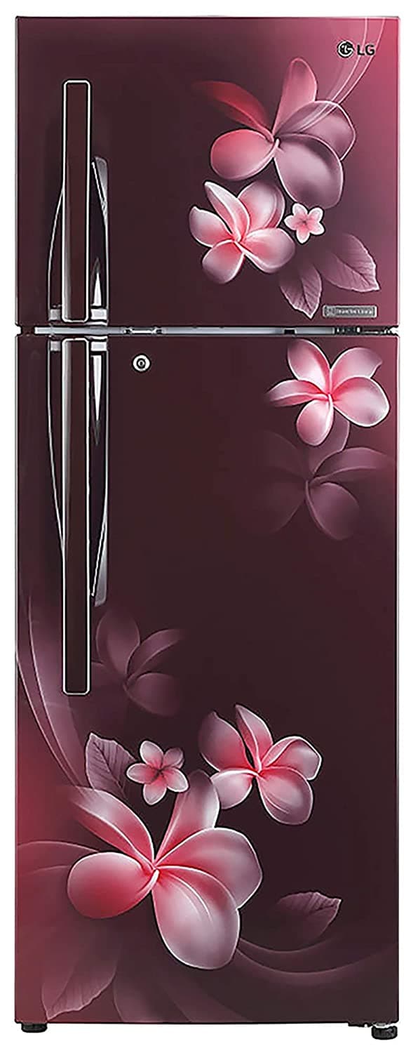 LG GL-T302RSPN 284 Ltr Double Door Refrigerator